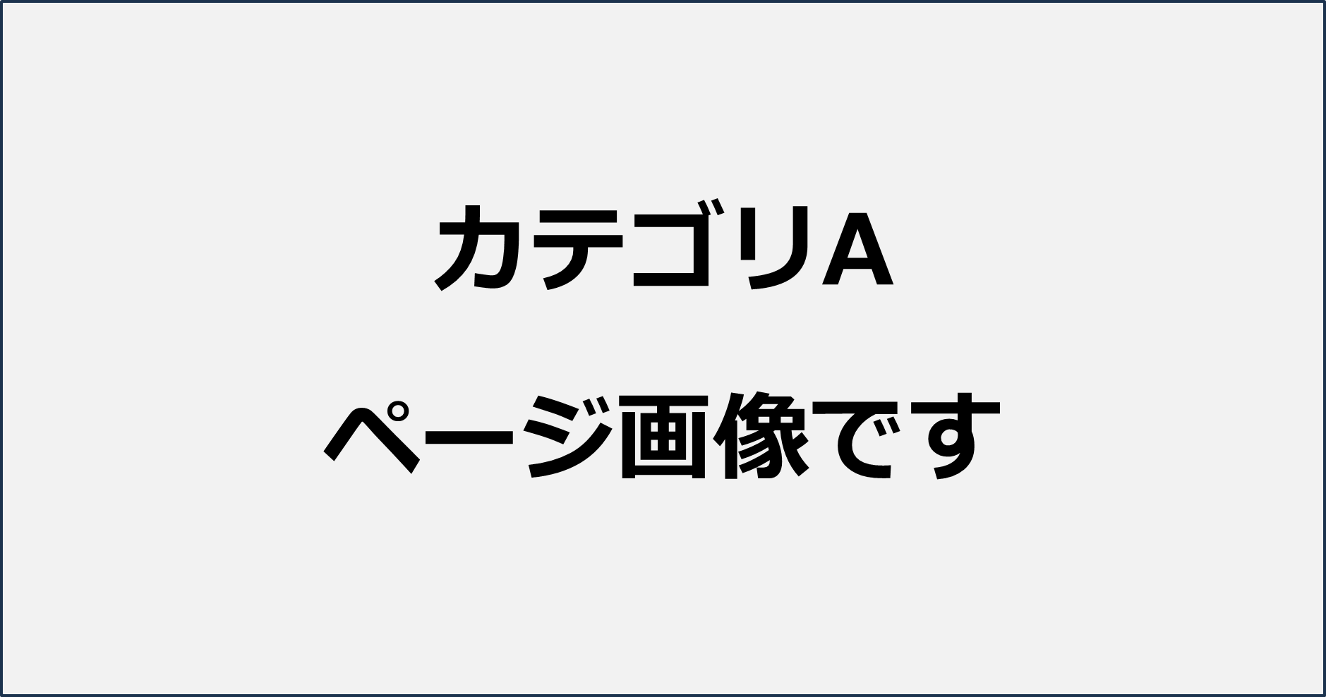 カテゴリA ページ画像
