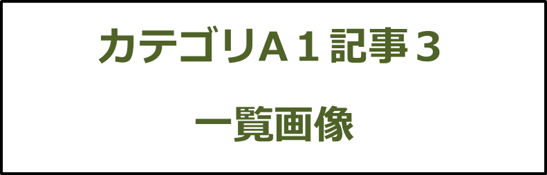 カテゴリA１記事３画像