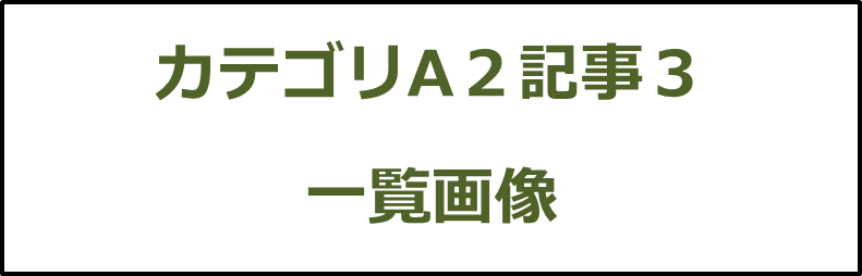 カテゴリA２記事３画像