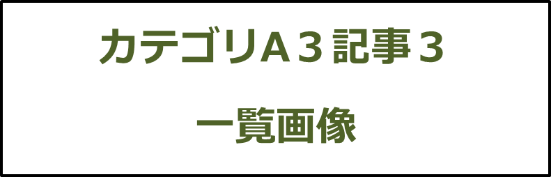 カテゴリA３記事３画像